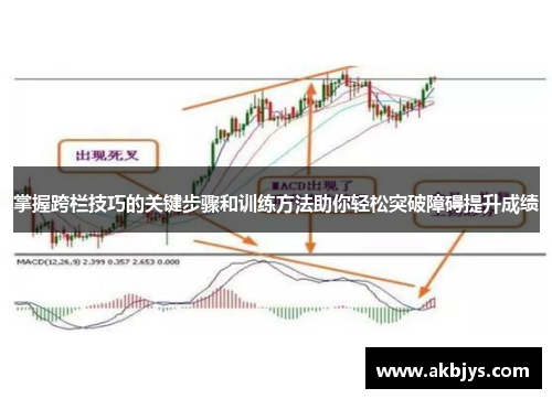 掌握跨栏技巧的关键步骤和训练方法助你轻松突破障碍提升成绩
