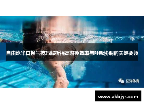 自由泳半口换气技巧解析提高游泳效率与呼吸协调的关键要领