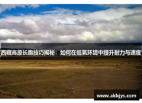 西藏高原长跑技巧揭秘：如何在低氧环境中提升耐力与速度